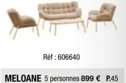 La Foir'Fouille MELOANE offre