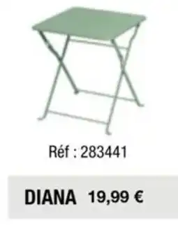 La Foir'Fouille DIANA offre