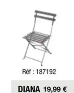 La Foir'Fouille DIANA offre