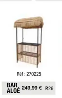 La Foir'Fouille BAR ALOE offre