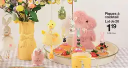 Zeeman Piques à cocktail offre