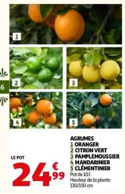 Auchan Agrumes offre
