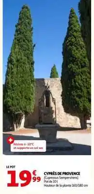 Auchan CYPRÈS DE PROVENCE offre