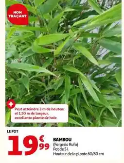 Auchan Bambou offre