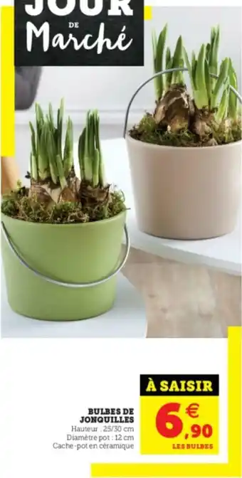 Super U Bulbes de Jonquilles offre