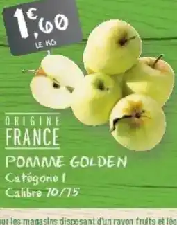 G20 Pomme golden offre