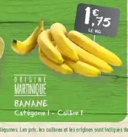 G20 Banane offre