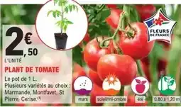 E.Leclerc Jardi Mars - plant de tomate offre