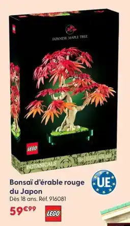 La Grande Récré Bonsai d'érable rouge du japon offre