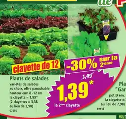 Norma Plants de salades offre