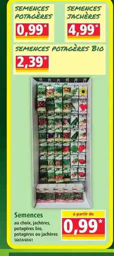 Norma Semences offre