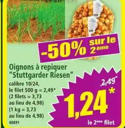 Norma Oignons à repiquer Stuttgarder Riesen offre