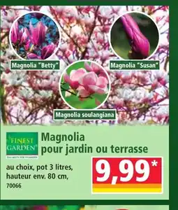 Norma FINEST GARDEN Magnolia pour jardin ou terrasse offre