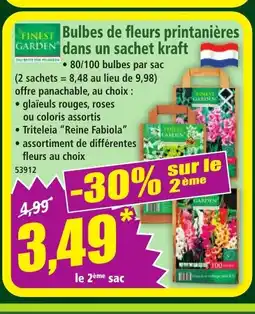 Norma FINEST GARDEN Bulbes de fleurs printanières dans un sachet kraft offre