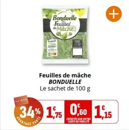 Coccinelle Express Feuilles de mâche bonduelle offre