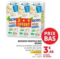 Norma Bulbes de plantes vivaces bellis, myosottis, aurbretita, narcisses ou jacinthes offre