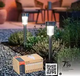 Carrefour Market Grundig - bone o boite de leche offre