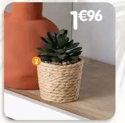 b&m Succulente pot tréssé offre