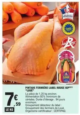 E.Leclerc Pintade Fermière Label Rouge IGP Loué offre