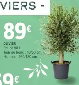 E.Leclerc Olivier offre