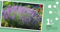 E.Leclerc Lavande offre