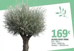 E.Leclerc OLIVIER VIEUX TRONC offre