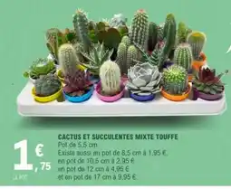 E.Leclerc CACTUS ET SUCCULENTES MIXTE TOUFFE offre