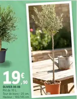 E.Leclerc OLIVIER 06-08 offre
