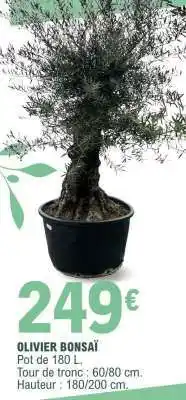 E.Leclerc OLIVIER BONSAÏ offre
