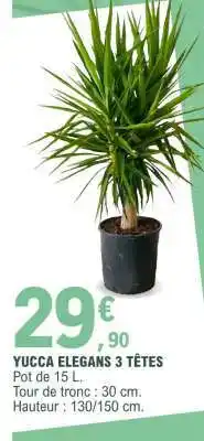 E.Leclerc YUCCA ELEGANS 3 TÊTES offre
