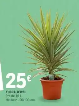 E.Leclerc Yucca Jewel offre