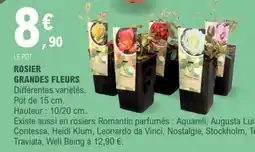 E.Leclerc ROSIER GRANDES FLEURS offre