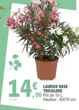E.Leclerc LAURIER ROSE TRICOLORE offre