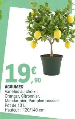 E.Leclerc Agrumes offre