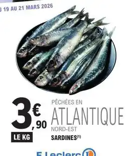 E.Leclerc Sardines offre