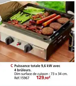 Provence Outillage Plancha à gaz Puissance totale 9,6 kW avec offre