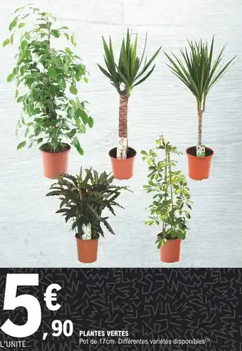 E.Leclerc Plantes vertes offre