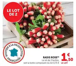U Express Radis rose offre