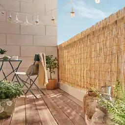 Gamm vert Canisse paillon offre