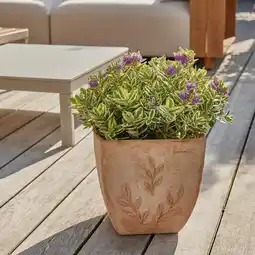 Gamm vert Ecloz pot carré amano ecloz offre