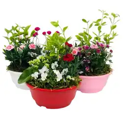 Jardiland Composition fleurie offre