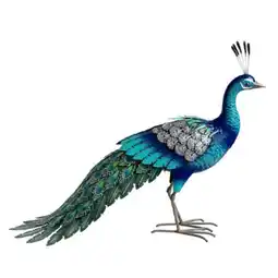 Gamm vert Paon décoratif offre