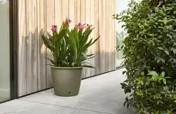 Gamm vert Ecloz pot l'autonome ecloz offre