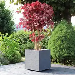 Gamm vert Ecloz bac carré décoratif ecloz offre