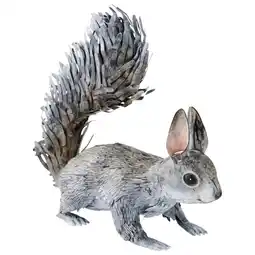 Gamm vert Écureuil gris offre