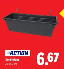 Lidl Action jardinière offre