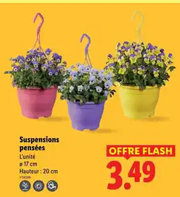 Lidl Suspension pensée offre
