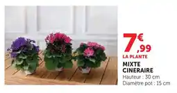 Super U Mixte cinéraire offre