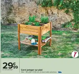 Carrefour Market Dim - carré potager sur pied offre