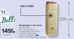 Carrefour Market Belli - récupérateur à eau mural offre